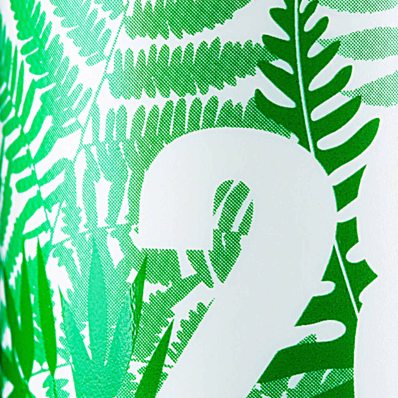 ЦВЕТОК ПАПОРОТНИКА