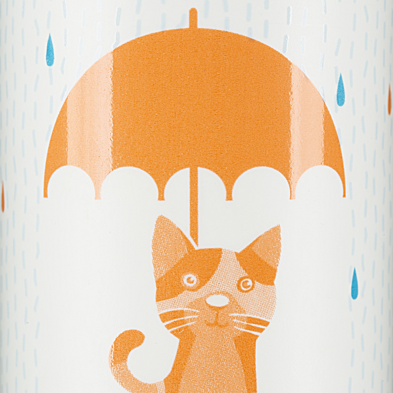 RAIN FOR CAT