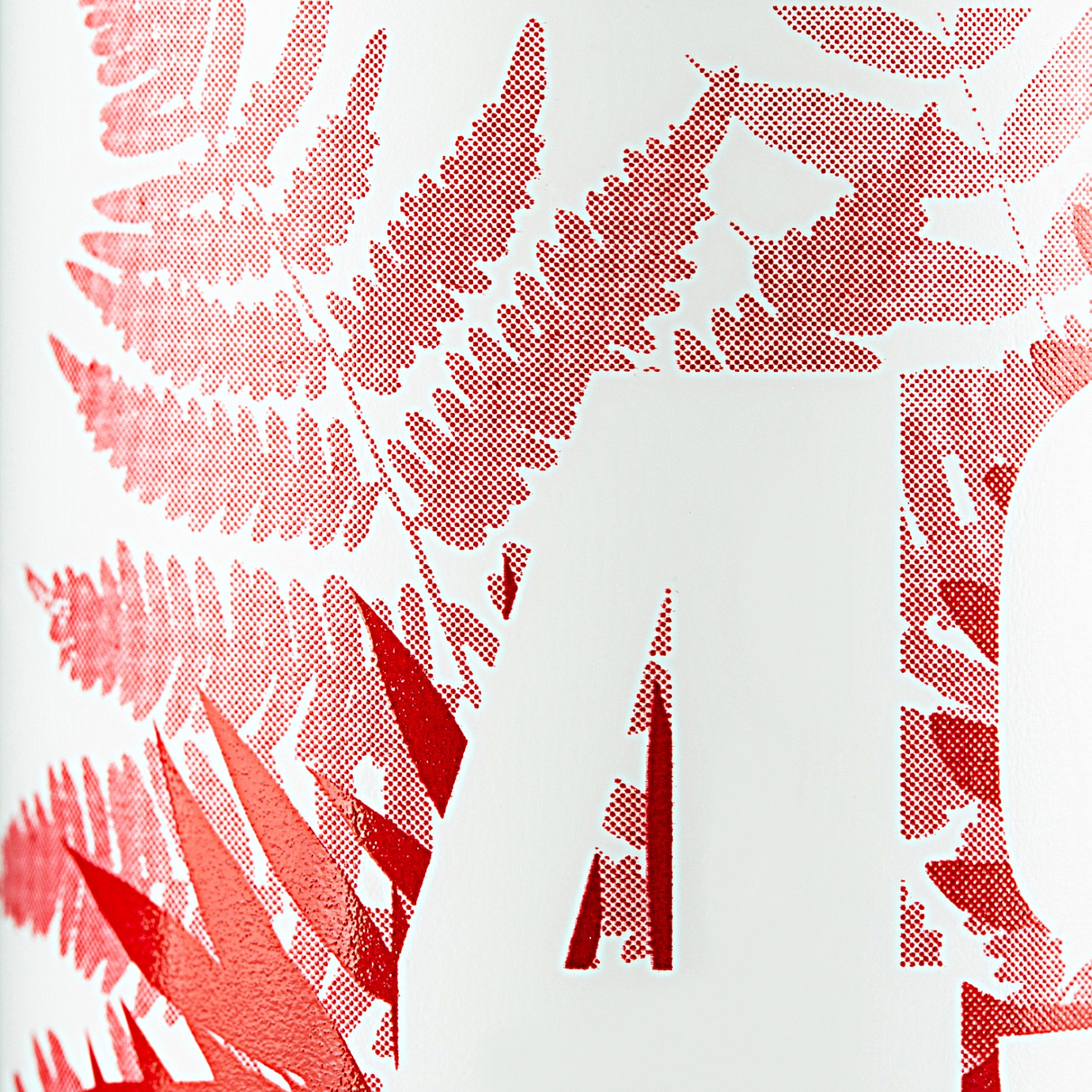 ЦВЕТОК ПАПОРОТНИКА